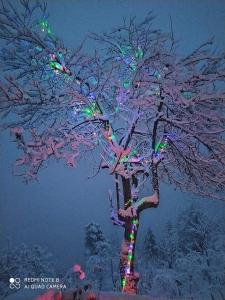 Imagen de la galería de Luka House, en Akhaldaba