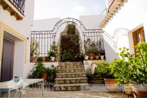 a staircase in a house with potted plants at Apartamentos Rurales El Molino De Morillas in Galera