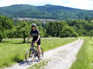 Ποδηλασία στο Ferienwohnung Klock ή στη γύρω περιοχή