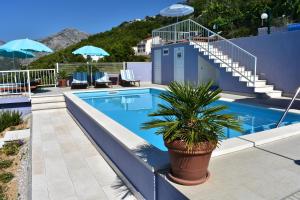 a swimming pool with a potted plant next to a staircase at Villa Vineyard oaza in Brela