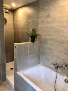 Koupelna v ubytování Charta Appartement