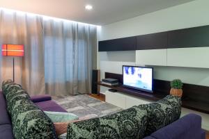ein Wohnzimmer mit einem Sofa und einem TV in der Unterkunft Porto Dragão in Porto