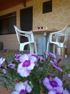 Φωτογραφία από το άλμπουμ του Farma Giannis στη Σάρτη