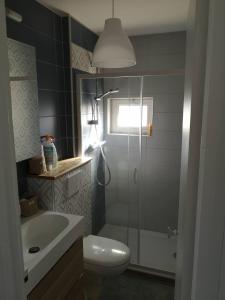 a bathroom with a shower and a toilet and a sink at L'escale Granvillaise in Granville