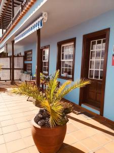 un patio con una gran olla de plantas frente a un edificio en Apartamentos Isla Encantada en Puntallana