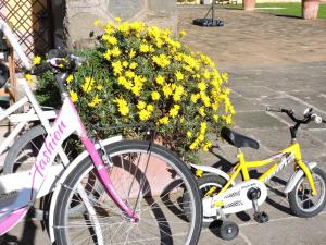 ロンチリオーネにあるCasale Fedele Family Relax B&B Vicino al Borgoの黄色い花の茂みの横に2台駐輪