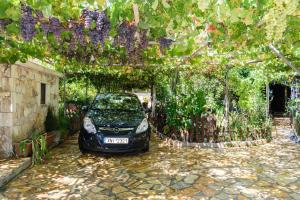 a small car parked under a pergola with flowers at Dimitris's Country House in Ayiá