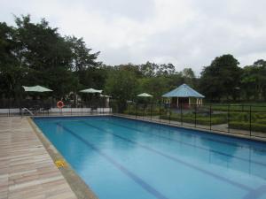 ein großer blauer Pool mit Sonnenschirmen in einem Park in der Unterkunft Hotel Yalconia in San Agustín