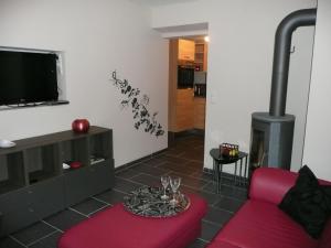 ベルンカステル・クースにあるMosel Ferienhaus Bernkastelのリビングルーム(赤いソファ、暖炉付)