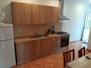 a kitchen with wooden cabinets and a sink at Apartmani Josip in Putniković