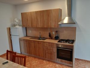 a kitchen with wooden cabinets and a sink and a refrigerator at Apartmani Josip in Putniković