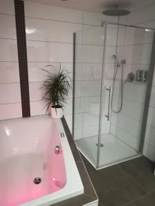 a bathroom with a shower and a tub with a potted plant at Taunusrast-Usi in Usingen