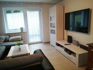 a living room with a couch and a large television at Taunusrast-Usi in Usingen