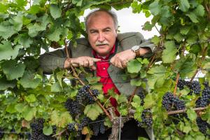 Wein & Landhaus Willi Opitz vendégei