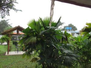 En hage utenfor Hotel Yalconia