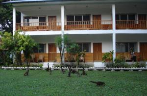 Hotel Tikal Inn外面的花园