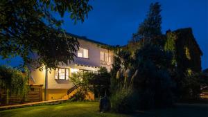 a house at night with a tree in front of it at Wein & Landhaus Willi Opitz in Illmitz