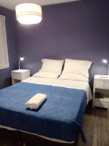 een blauwe slaapkamer met een bed met een blauwe deken bij Gaurez in Buenos Aires