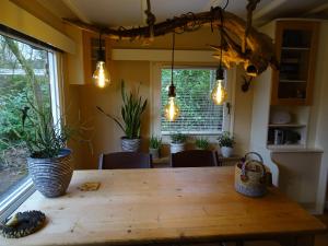 a dining room table with potted plants and lights at vakantiehuis op de veluwe in Wolfheze
