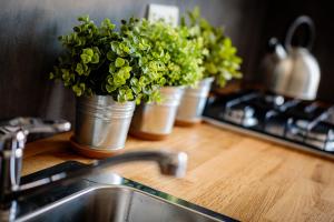 A kitchen or kitchenette at Le Stanze Di Catia