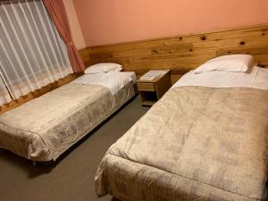 Postel nebo postele na pokoji v ubytování Turtle Inn Nikko
