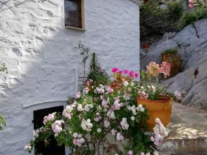 Imagen de la galería de Arbeli house, en Mandraki 32 fotos más