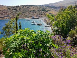 Imagen de la galería de Arbeli house, en Mandraki