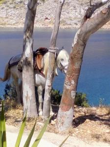 Imagen de la galería de Arbeli house, en Mandraki