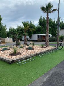 a park with palm trees and chairs on the grass at Dream holidays in Valras-Plage