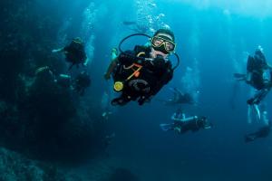 Hosté ubytování Carabao Diving Koh Tao