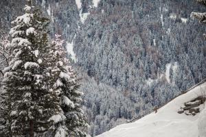 a snow covered tree on the side of a mountain at Hotel Alpenhof in Ultimo