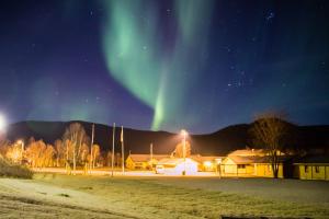 巴杜弗斯Haraldvollen Red Cross Center的天空中极光在田野上的图像