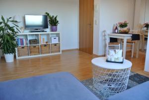 a living room with a tv and a table at Rheinau Apartment in Memprechtshofen