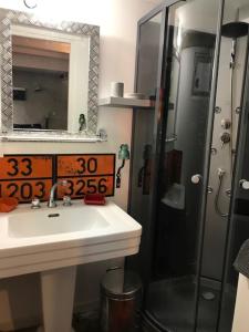 a bathroom with a sink and a shower with a mirror at Gîtes de Gueynard in Gauriaguet +27 photos