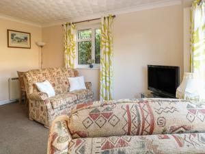 a living room with a couch and a tv at Robyn's Nest in Sharrington