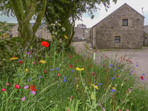 a field of flowers in front of a stone building at 1 Primitive Mews in Chelmorton