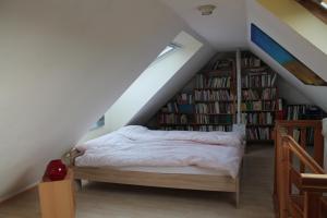 - une chambre avec un lit dans une chambre dotée d'étagères dans l'établissement Ferienwohnung im Galerie-Haus, à Urbar