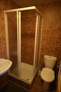 W łazience znajduje się prysznic, toaleta i umywalka. w obiekcie Ubytovanie MARTINKA w Popradzie