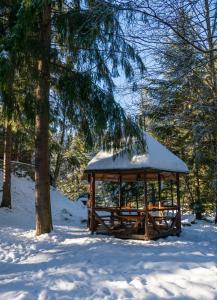 Fotografie z fotogalerie ubytování LAVANDA country club v destinaci Tatariv + 58 fotografií