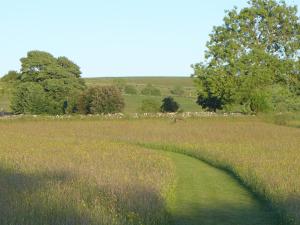 a grassy field with a path in the middle at 3 Primitive Mews in Chelmorton