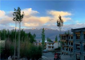a view of a city with mountains in the background at Hotel Ladakh Heaven in Leh