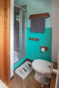 y baño con aseo blanco y ducha. en Cozy, Bright and Affordable Single Studio - Free Parking, en Liubliana