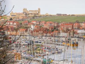 a bunch of boats are docked in a harbor at Whitby Harbour Retreat in Whitby