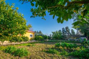 Zahrada ubytování Loukas Farm House