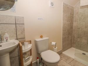 a bathroom with a toilet and a sink and a shower at Little Argham Cottage in North Burton +9 photos