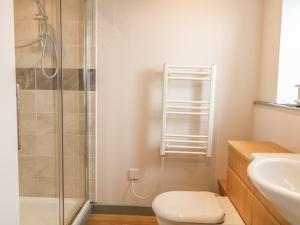 a bathroom with a shower and a toilet and a sink at Snowy Owl Barn in Shipdham +12 photos
