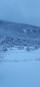 a field covered in snow with trees and bushes at Guest House Tavaduri in Mestia