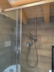 a shower with a glass door in a bathroom at Hotelski in Verbier