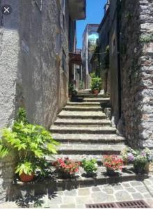 Fotografie z fotogalerie ubytování B&B Il Melograno v destinaci Tortorella