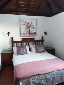 een slaapkamer met een groot bed met paarse en witte kussens bij Casa Los Volcanes in Tigalate